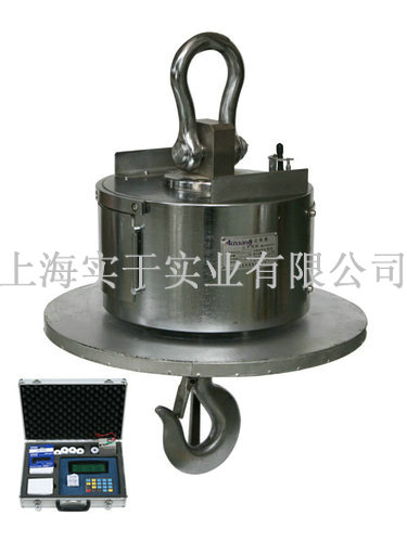 耐高溫電子吊磅